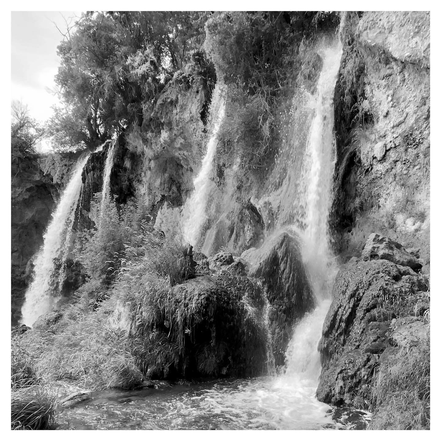 Fotografía de Bernardo García Agrícola