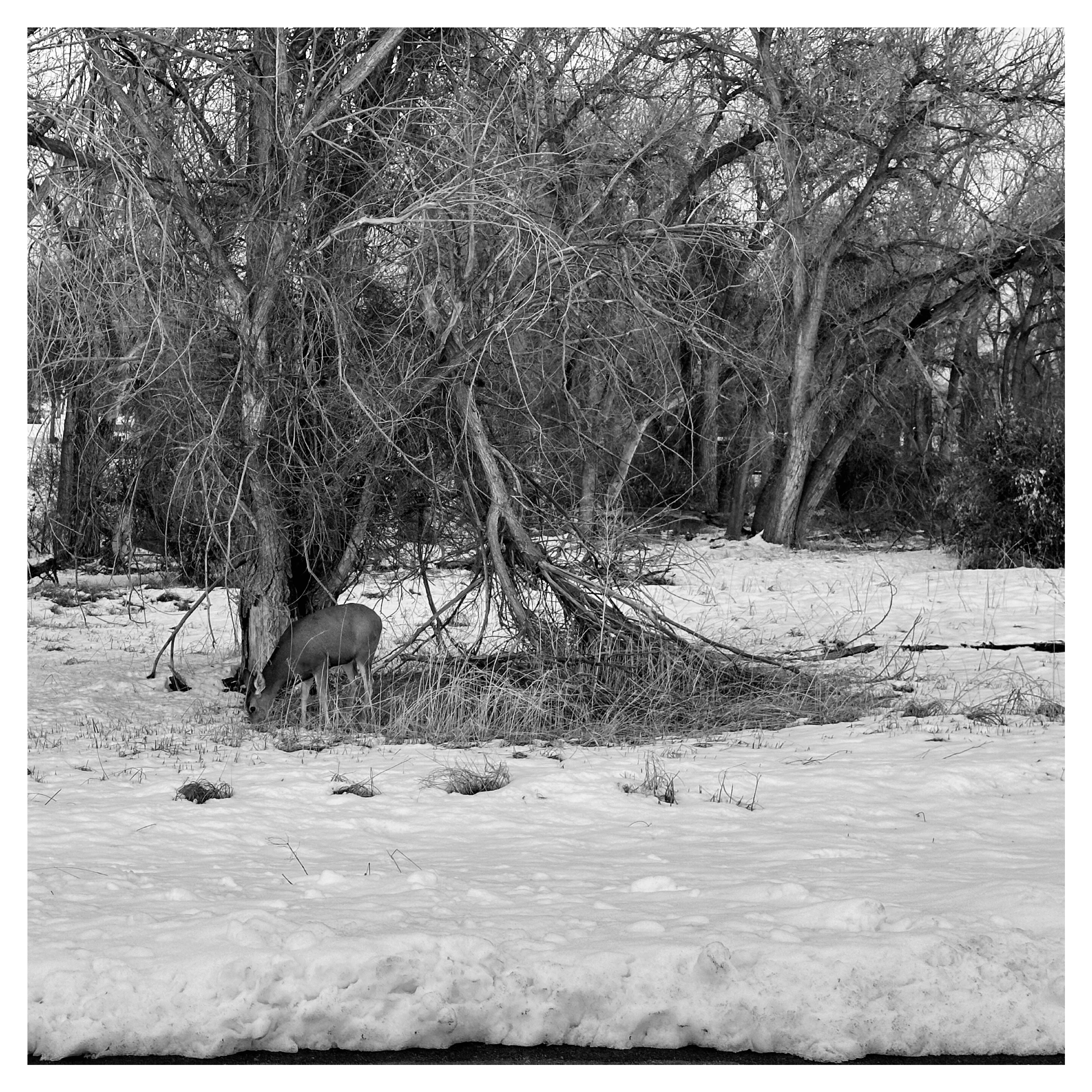 Fotografía de Bernardo García Agrícola